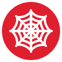 spider web